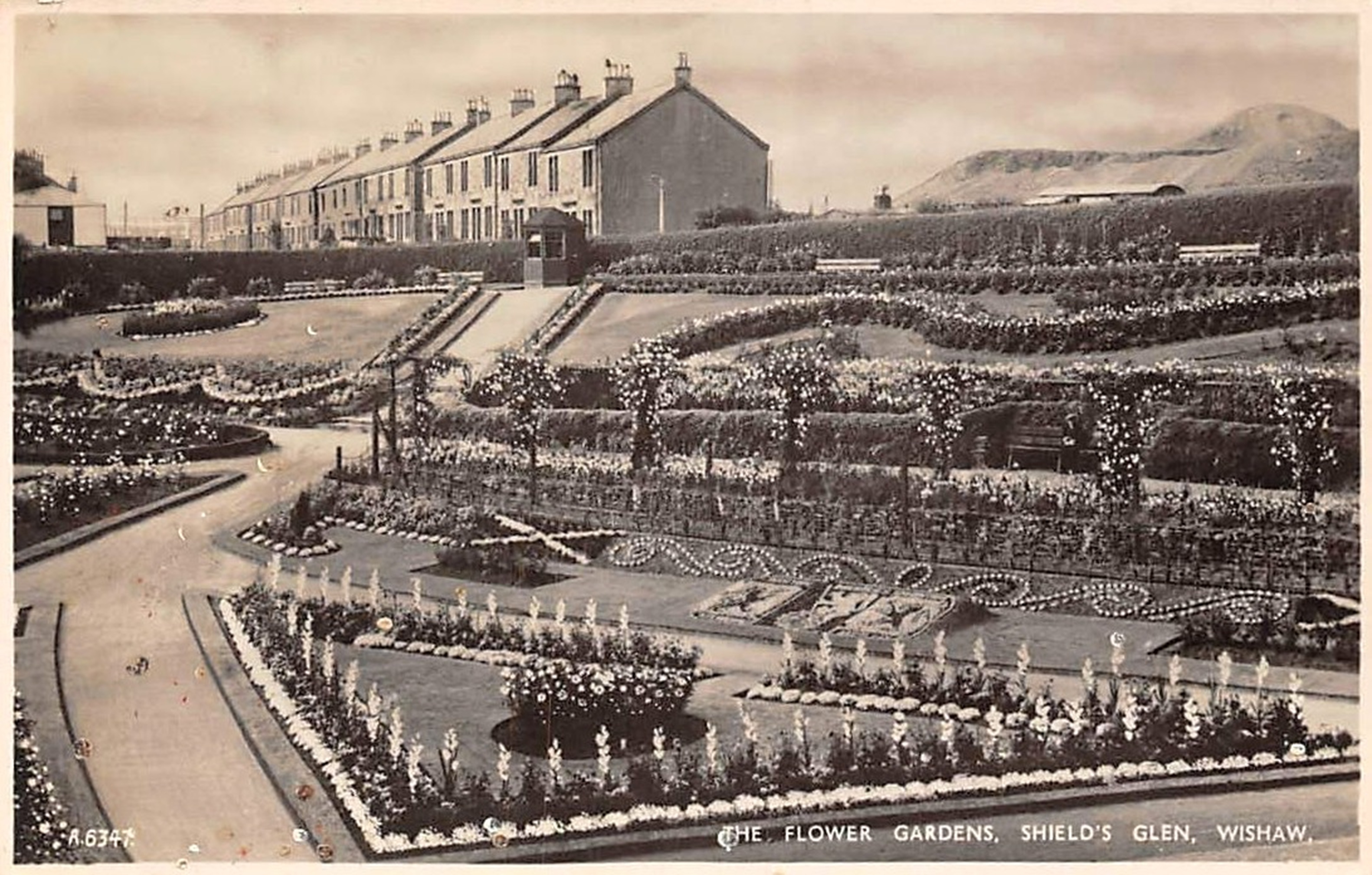 Old Postcard, Shield's Glen.