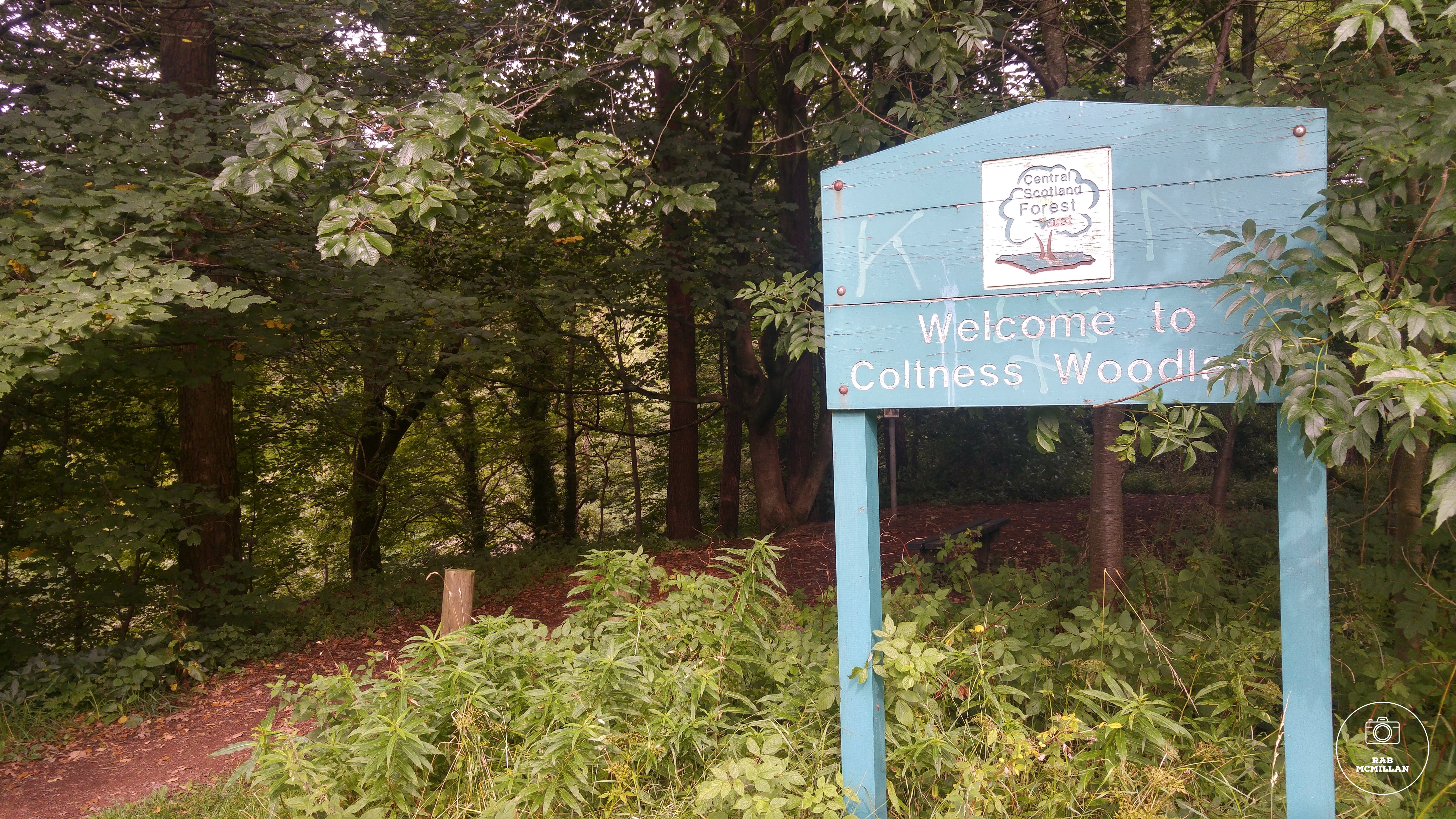 Coltness Woodlands, North Dryburgh Road, Wishaw, 2017.