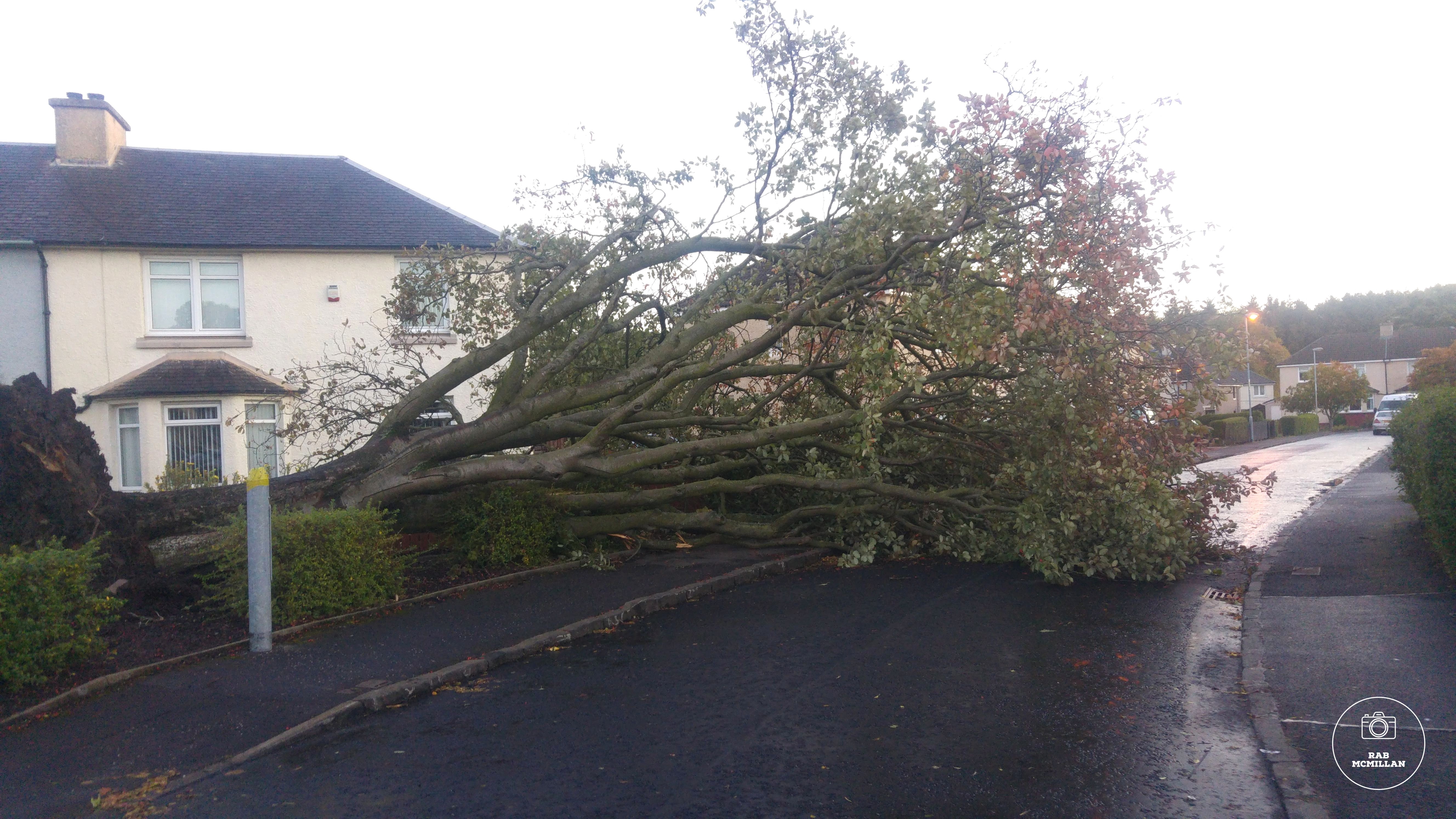 After the storm, Ivanhoe Crescent, Wishaw, September, 2018.