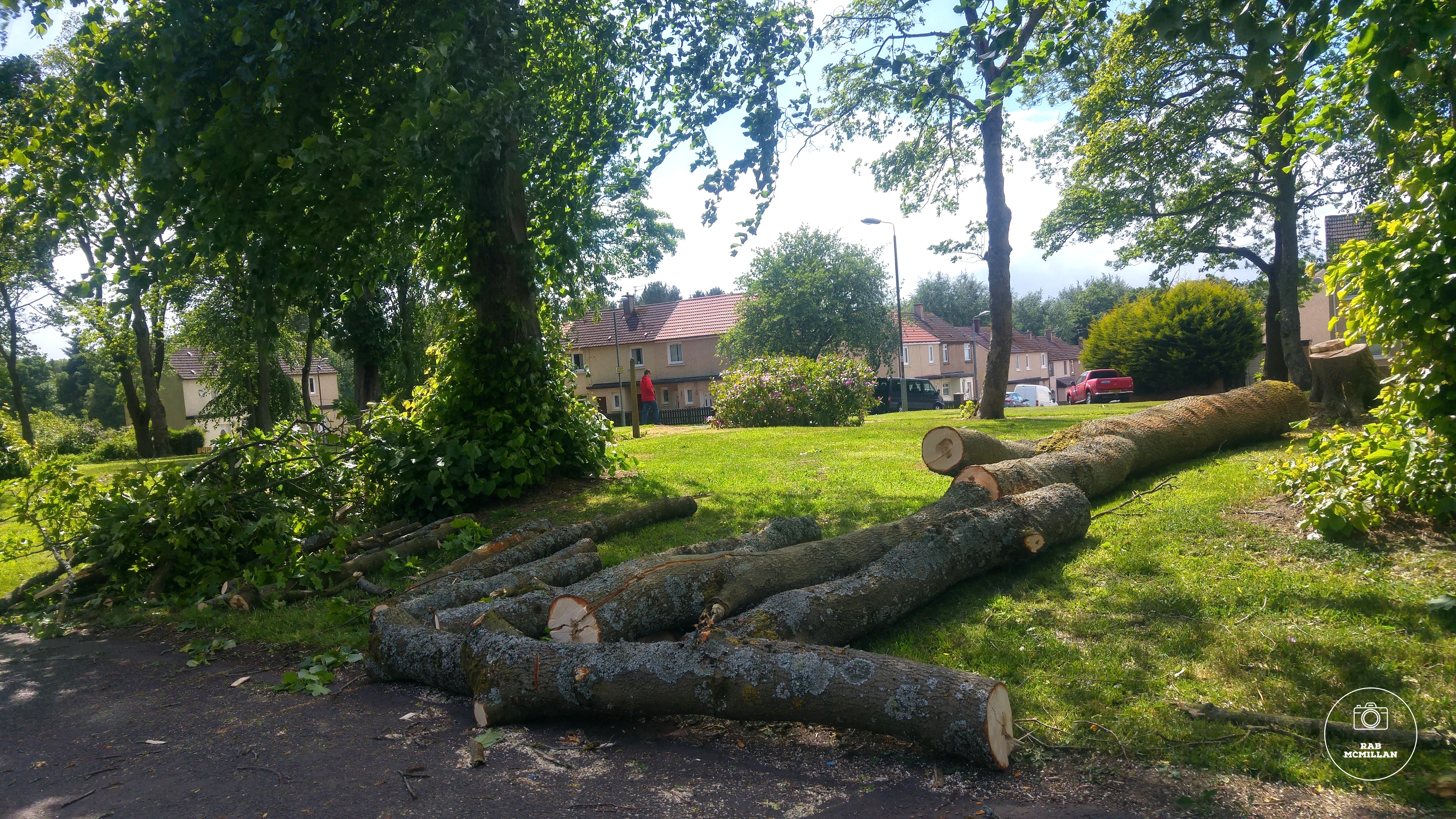 Clean up after the strong winds, Kenilworth Avenue, Wishaw, 2018.