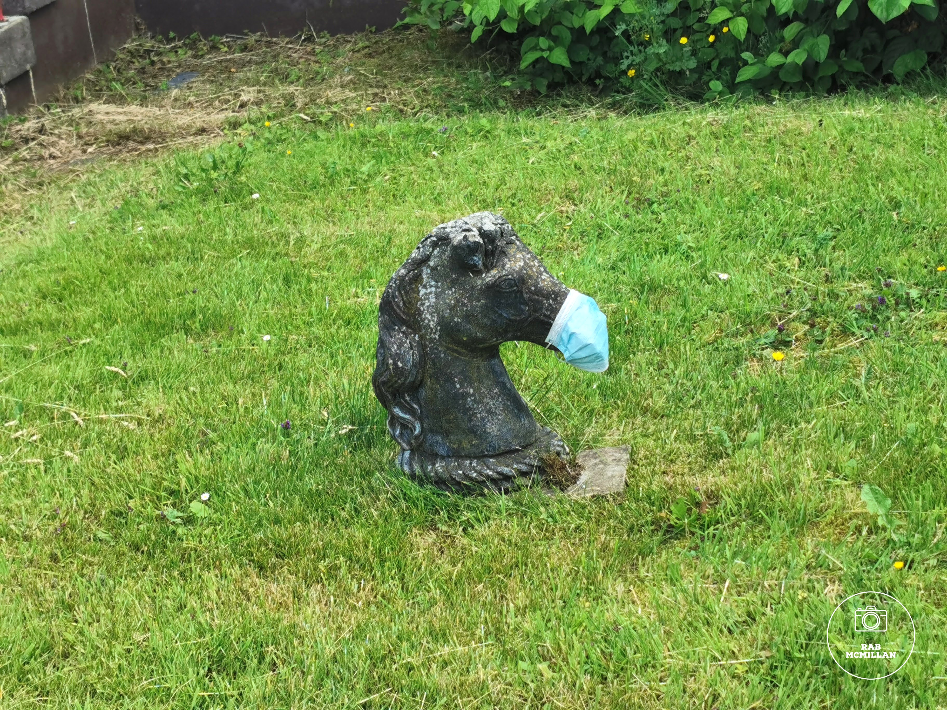 Horse's head garden ornament, Glasgow Road, Wishaw, during covid, 2021.
