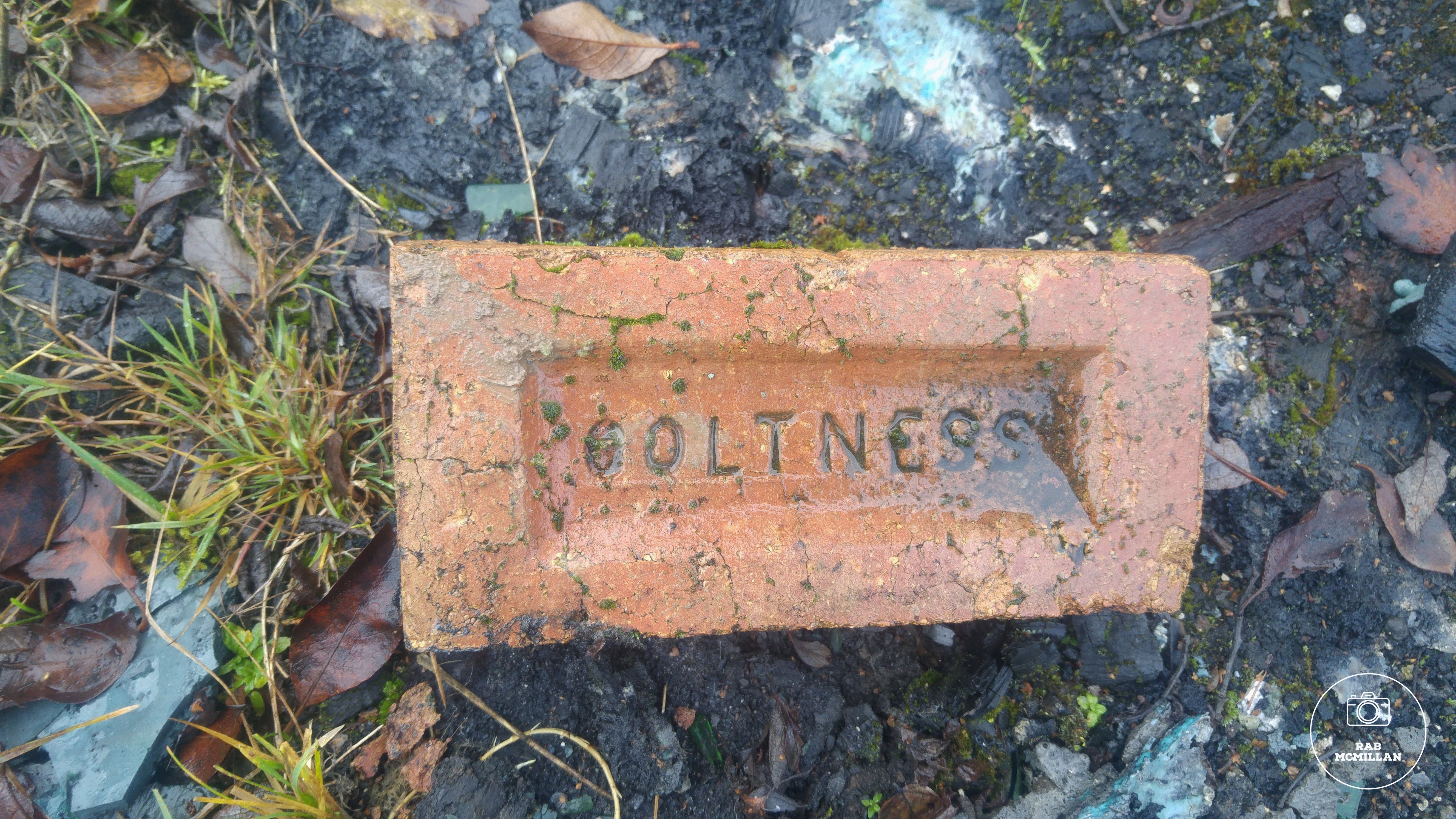 Coltness Brick at the Ravenscraig Steelworks Site, Craigneuk, Wishaw, 2018.