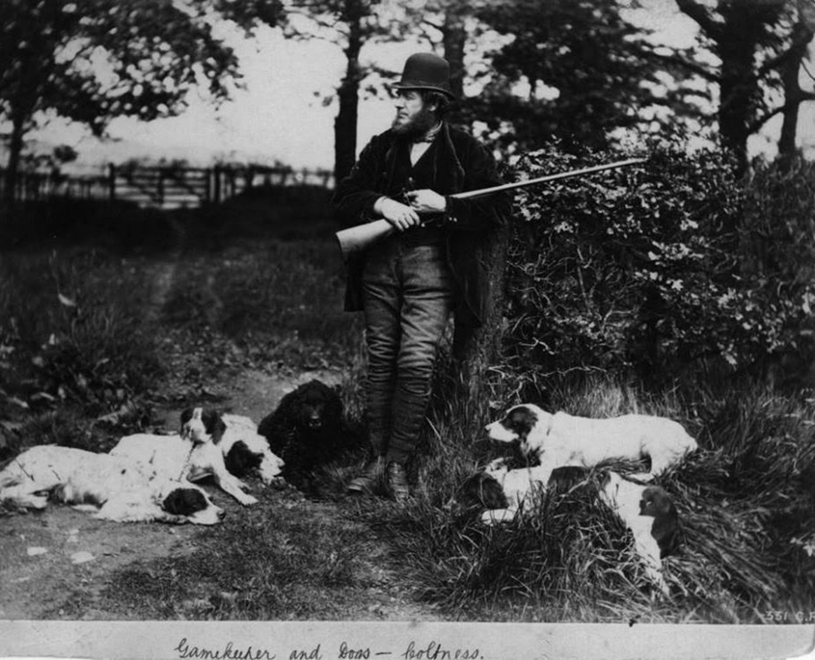 Gamekeeper and dogs, Coltness Estate, Wishaw, late 1800's. Photo by Charles Reid.