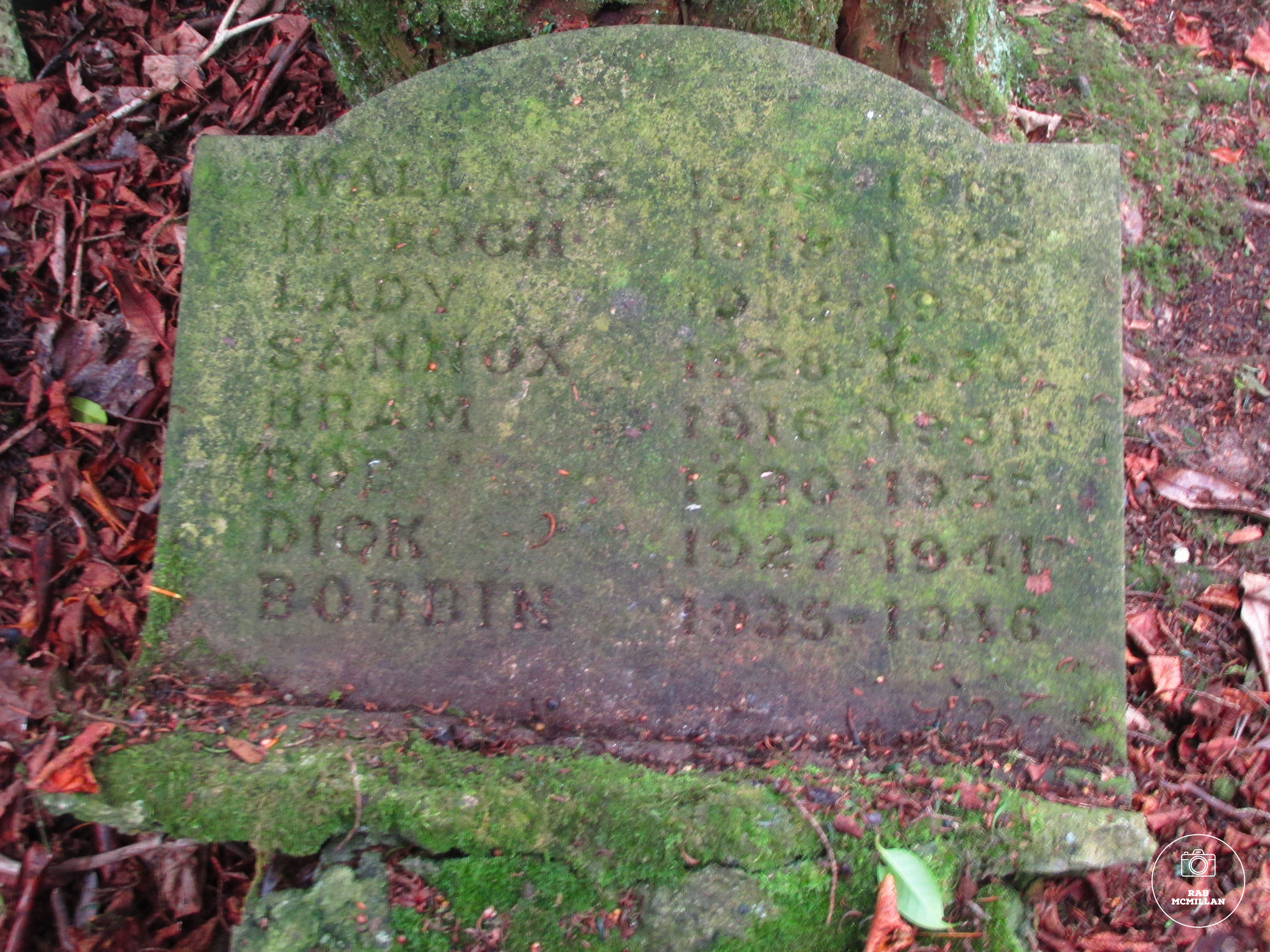 Pet Gravestone, Murdostoun Castle, Newmains, Wishaw, 2018.