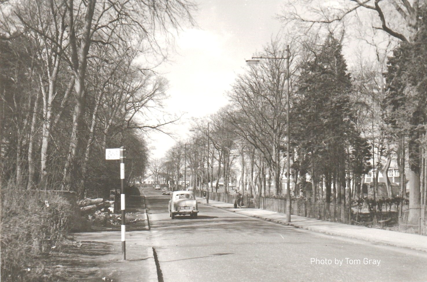 Coltness Road looking to Home Farm, 1960's.