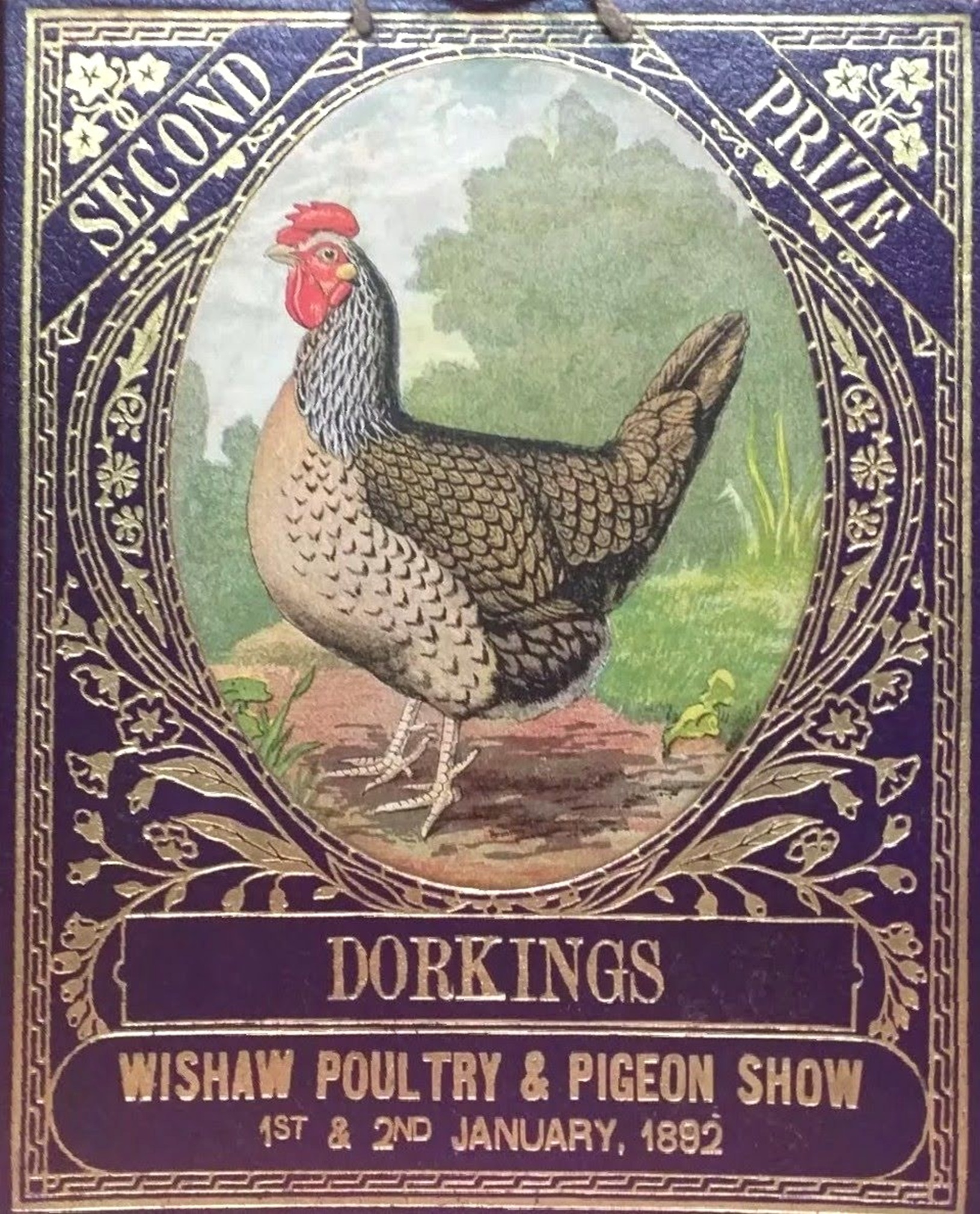 Wishaw Poultry and Pigeon Show, 1892.