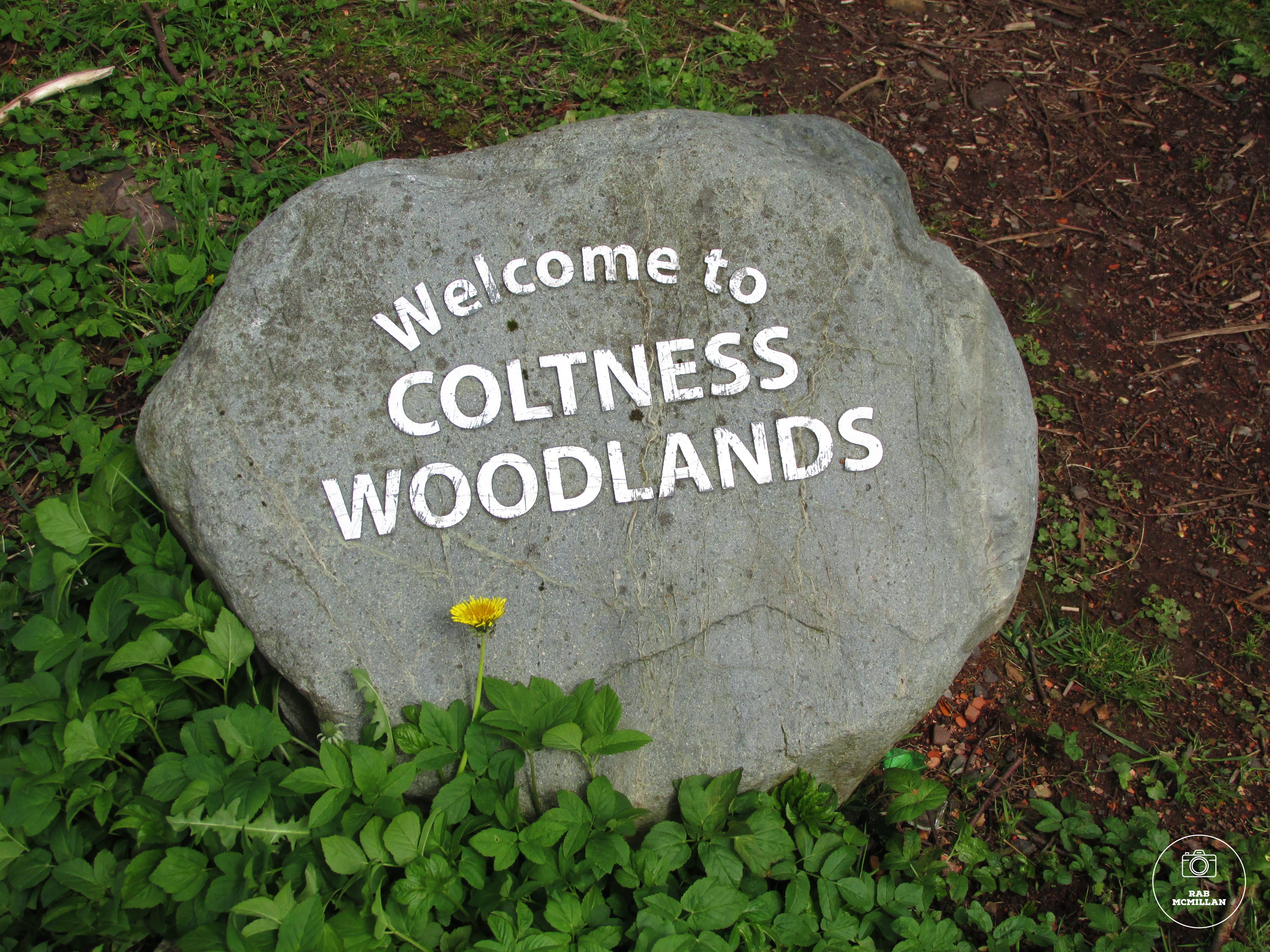 Welcome to Coltness Woodlands, Wishaw, 2014.