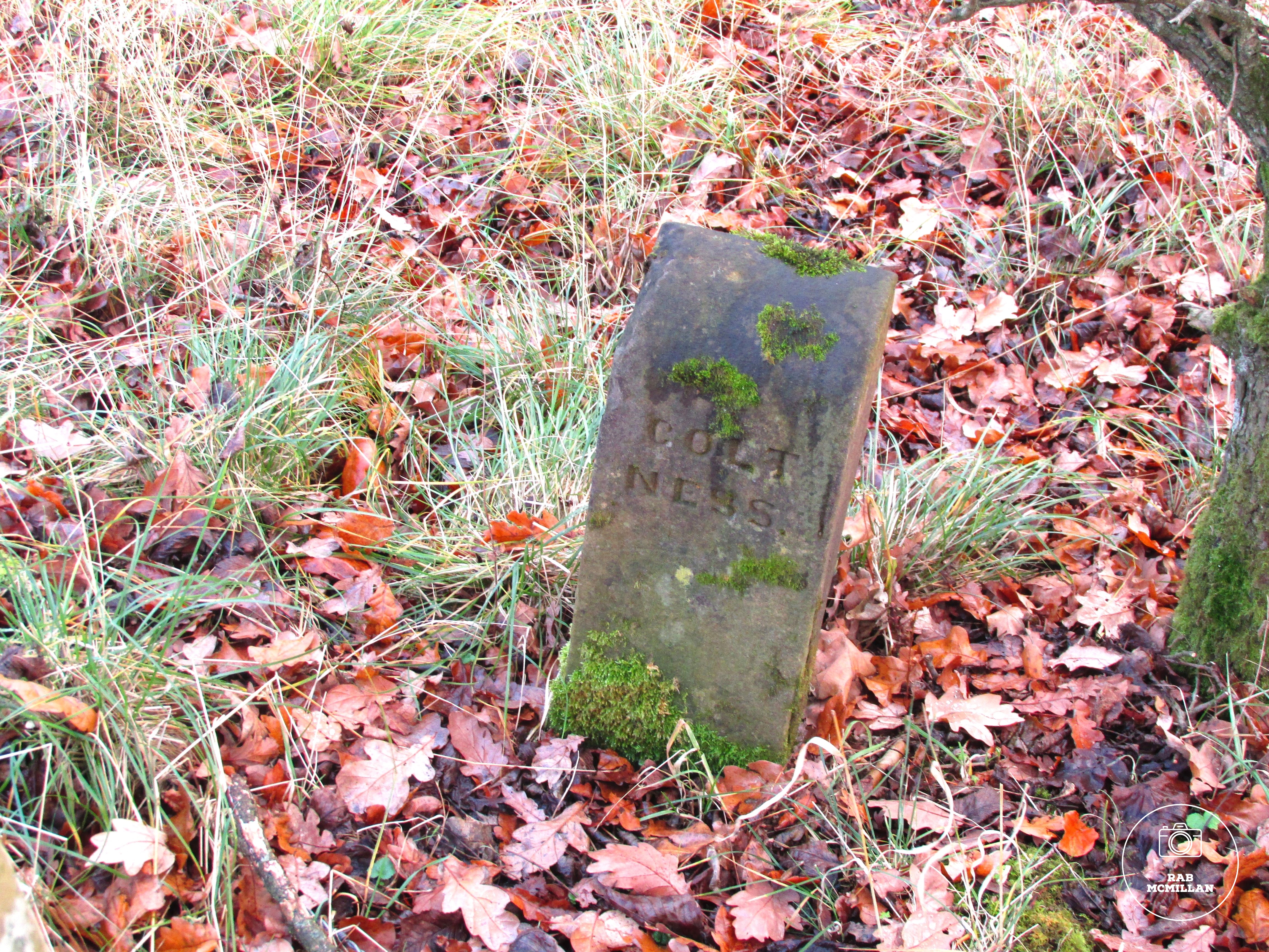 Stone Boundary Marker, for Coltness, Wishaw, 2018.