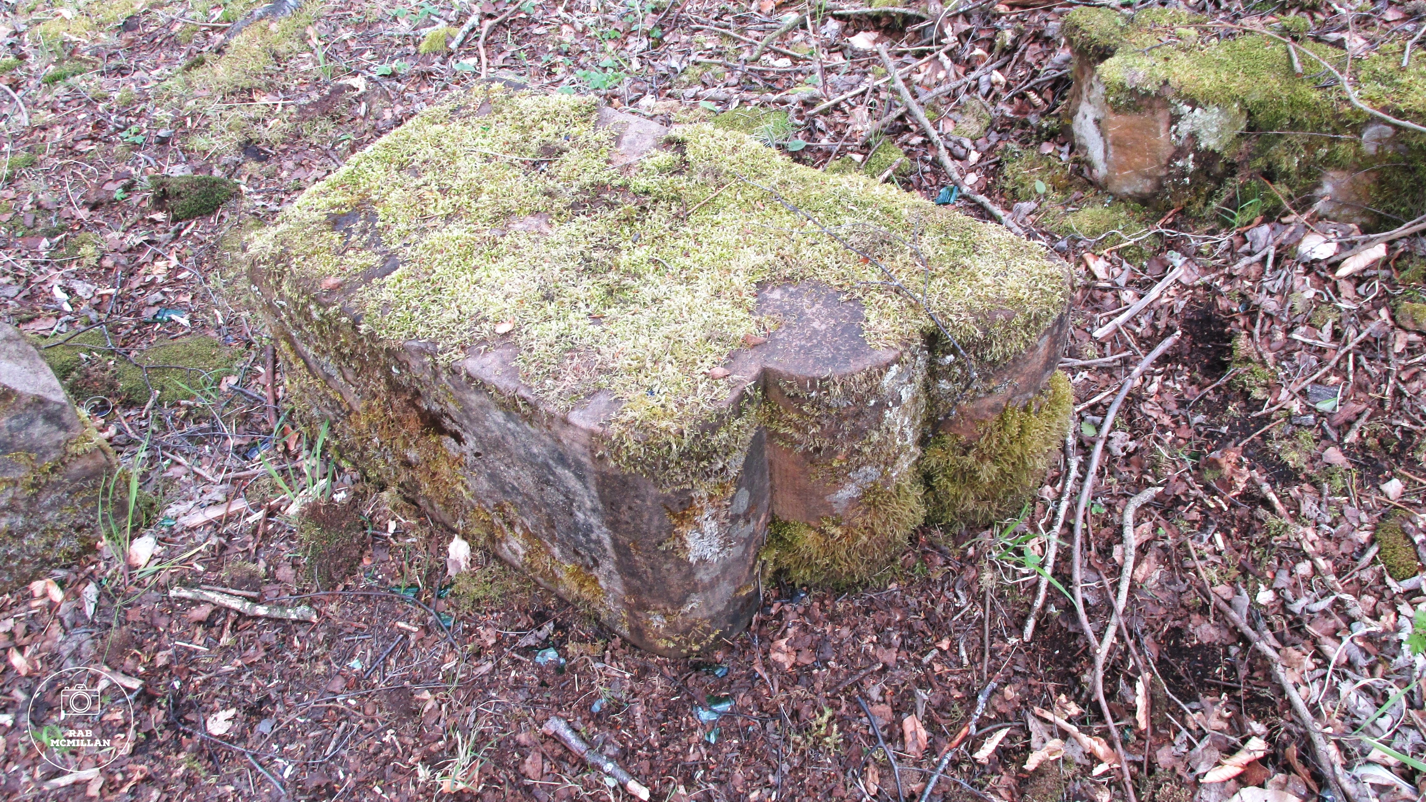 A feature stone from the ruins of Wishaw House, the former home of Lord Belhaven. Pic from 2015.