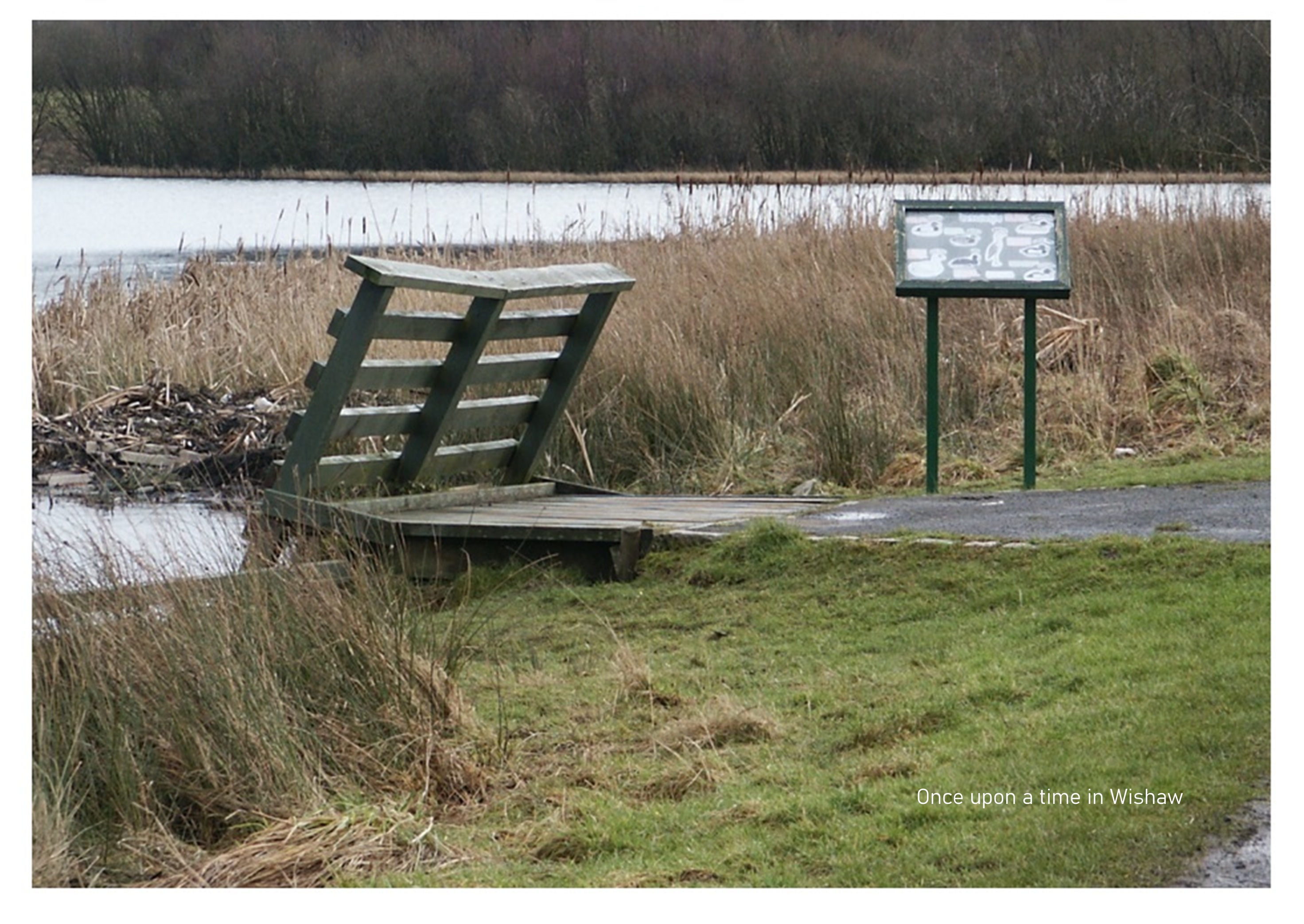 Perchy Pond, Greenhead Moss, Wishaw, 2005.