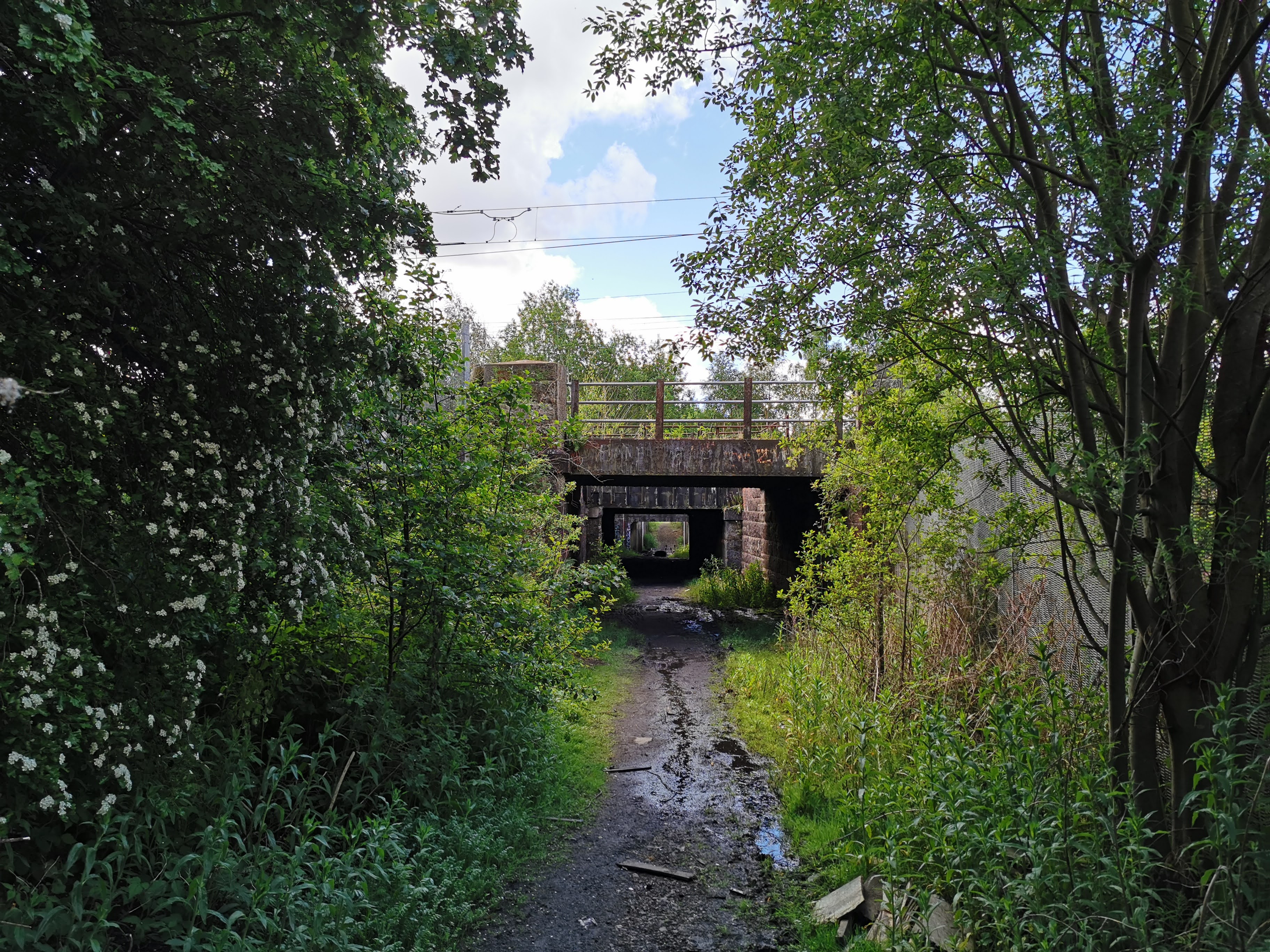 Cuckoo Bridge, Craigneuk, Wishaw, 2021.